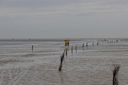 prickenweg 01