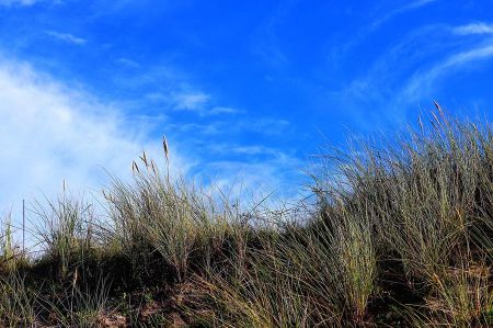 Pricken paths through the Wadden Sea - example Minsener Oog