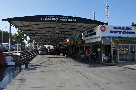 Frischer Fisch vom Fischmarkt bei Güzelbahçe