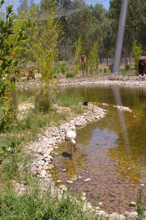 wildpark izmir 02