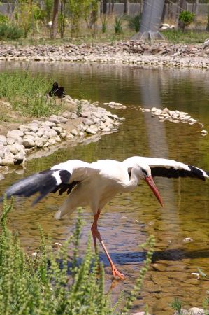 wildpark izmir 03