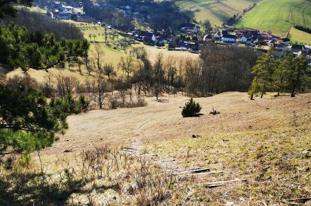 Wanderung auf dem Böselstein-Rundweg bis Krawinkel