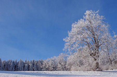 Raureif und/oder Reif – wunderschöne Eindrücke auf der Finne