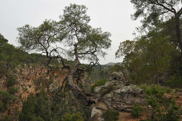 Antalya Canyon 062