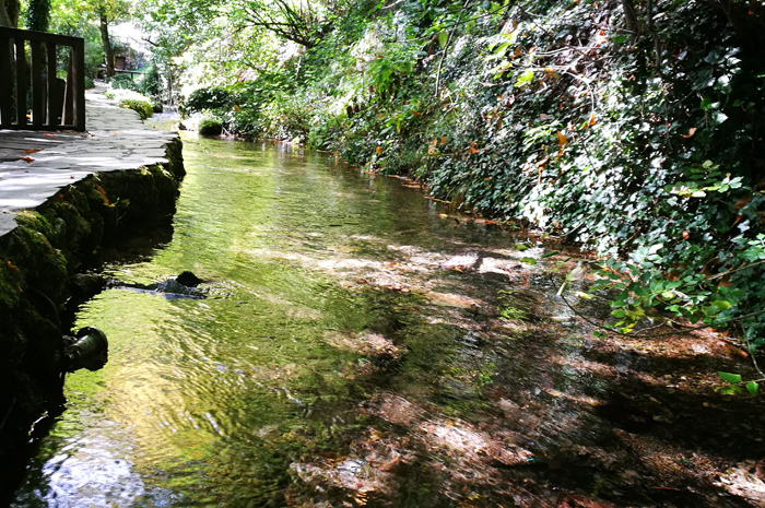 Tagesausflug nach Vevčani - Spaziergang an Wasserläufen