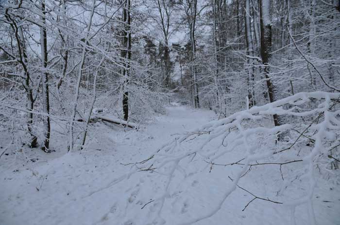 Hiking across Finne coming from Billroda