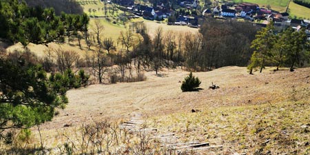 Hike on the Böselstein circular trail to Krawinkel