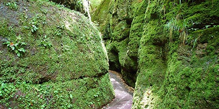 Wanderung durch die Drachenschlucht bei Eisenach