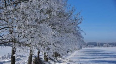 Hoar frost - a miracle of nature when temperature in minus 