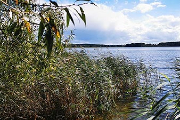 Der Garder See – Paradies für Naturliebhaber und Abenteurer