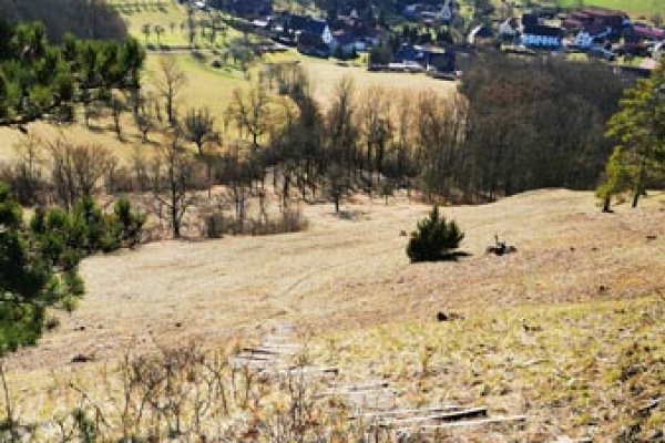 Wanderung auf dem Böselstein-Rundweg bis Krawinkel