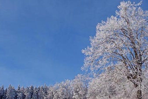 Raureif und/oder Reif – wunderschöne Eindrücke auf der Finne